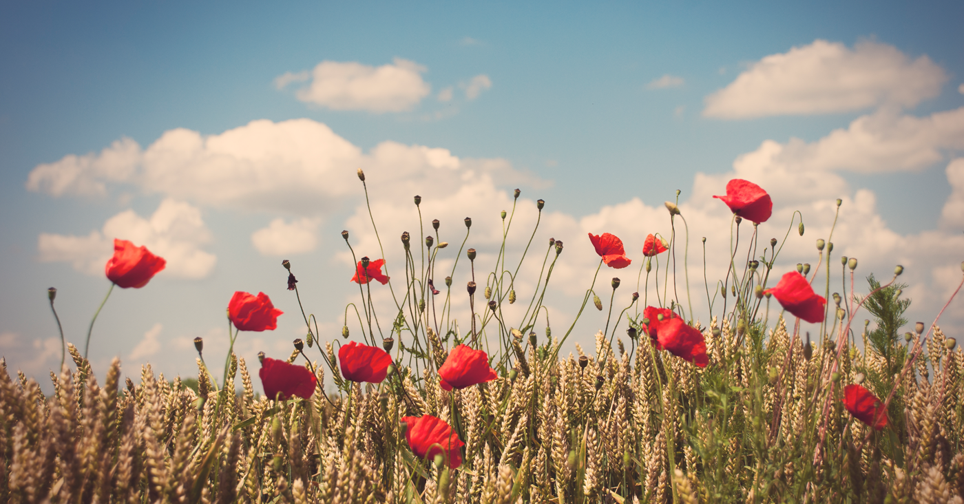 Is the stock market closed on monday for veterans day